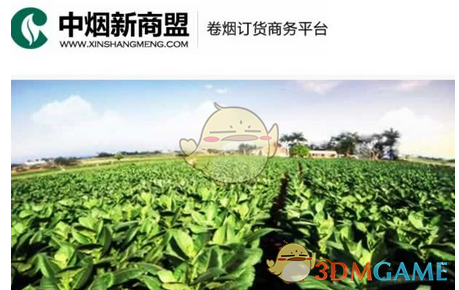 马斯克宣布重心回归特斯拉业务
